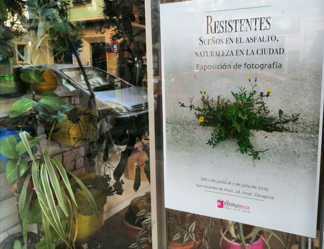 Resistentes. Sueños en el asfalto, naturaleza en la ciudad