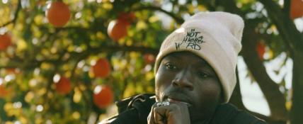 “Frutos Amargos (THE PICKERS)”