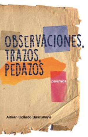 OBSERVACIONES, TRAZOS, PEDAZOS