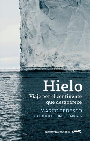 HIELO