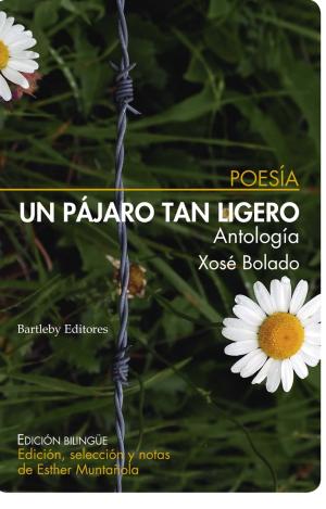 UN PÁJARO TAN LIGERO (ANTOLOGÍA)