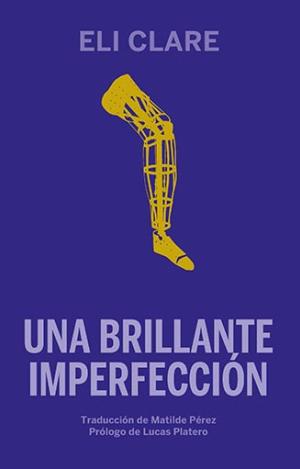 UNA BRILLANTE IMPERFECCIÓN