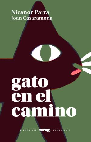 GATO EN EL CAMINO