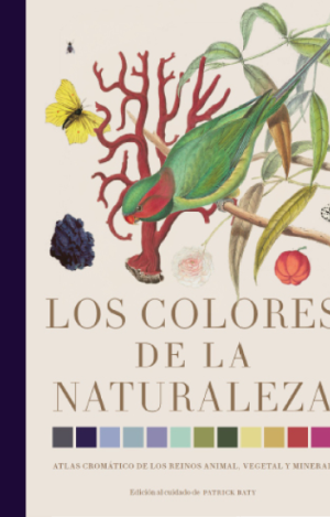 LOS COLORES DE LA NATURALEZA