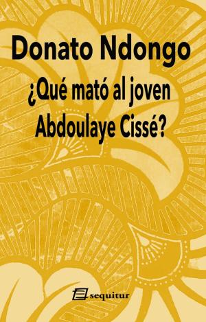 ¿QUÉ MATÓ AL JOVEN ABDOULAYE CISSÉ?