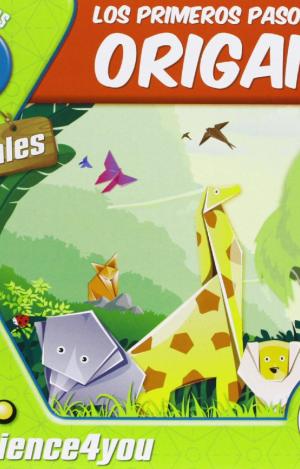 LOS PRIMEROS PASOS EN EL ORIGAMI