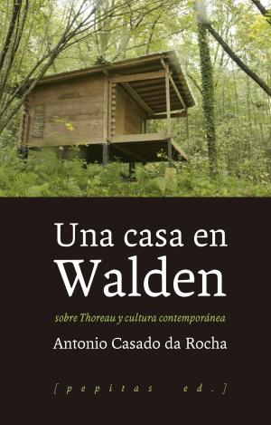 UNA CASA EN WALDEN