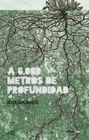 A 6.000 METROS DE PROFUNDIDAD