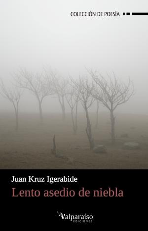 LENTO ASEDIO DE NIEBLA