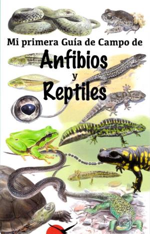 MI PRIMERA GUÍA DE CAMPO DE ANFIBIOS Y REPTILES