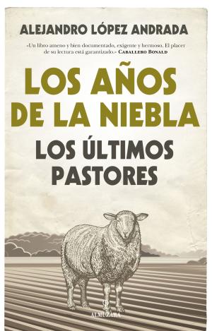 LOS AÑOS DE LA NIEBLA