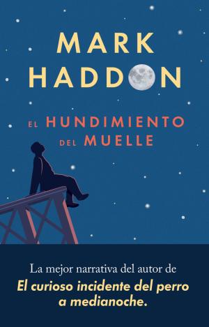 EL HUNDIMIENTO DEL MUELLE