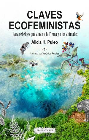 CLAVES ECOFEMINISTAS