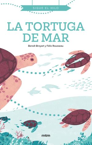 LA TORTUGA DE MAR
