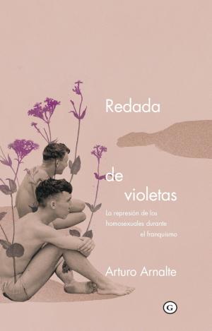 REDADA DE VIOLETAS