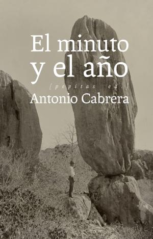 EL MINUTO Y EL AÑO