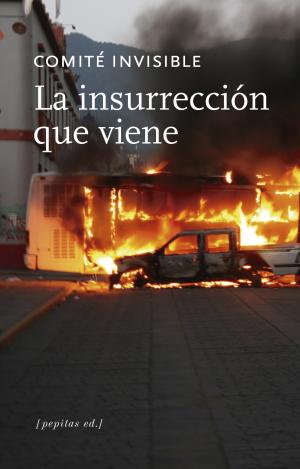 LA INSURRECCIÓN QUE VIENE