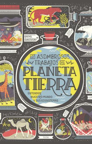 PLANETA TIERRA