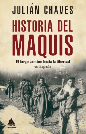 HISTORIA DEL MAQUIS