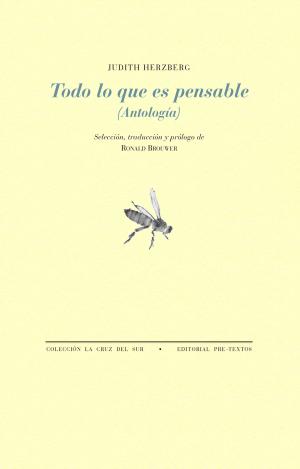 TODO LO QUE ES PENSABLE (ANTOLOGÍA)