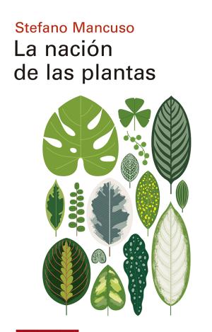 LA NACIÓN DE LAS PLANTAS