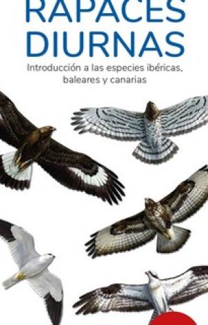 RAPACES DIURNAS (13ª EDICION)