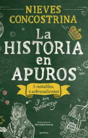 LA HISTORIA EN APUROS