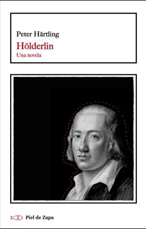 HÖLDERLIN. UNA NOVELA