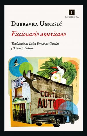 FICCIONARIO AMERICANO