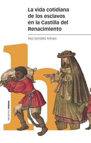 LA VIDA COTIDIANA DE LOS ESCLAVOS EN LA CASTILLA DEL RENACIMIENTO