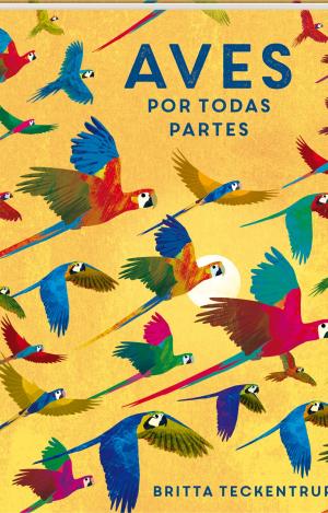 AVES POR TODAS PARTES