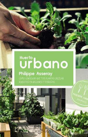 HUERTO URBANO