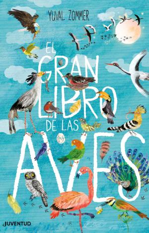 EL GRAN LIBRO DE LAS AVES