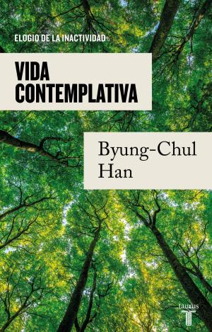 VIDA CONTEMPLATIVA