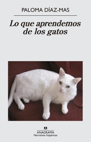 LO QUE APRENDEMOS DE LOS GATOS