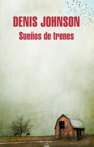 SUEÑOS DE TRENES