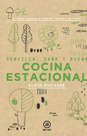 COCINA ESTACIONAL