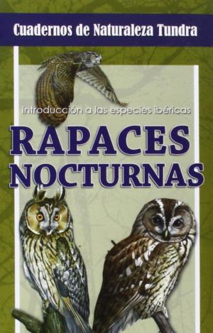 RAPACES NOCTURNAS