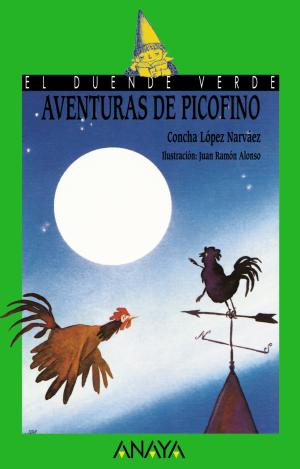 AVENTURAS DE PICOFINO