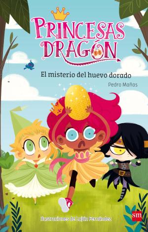 PRINCESAS DRAGÓN: EL MISTERIO DEL HUEVO DORADO