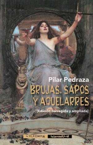 BRUJAS, SAPOS Y AQUELARRES