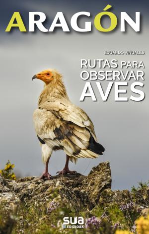 RUTAS PARA OBSERVAR AVES