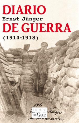 DIARIO DE GUERRA