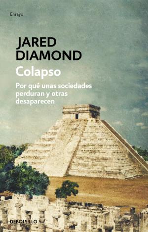 COLAPSO