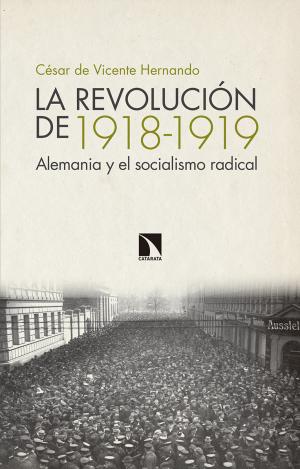 LA REVOLUCION DE 1918-1919