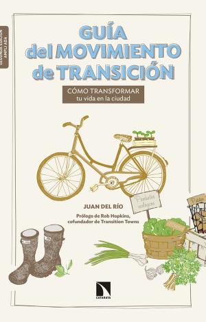 GUÍA DEL MOVIMIENTO DE TRANSICIÓN