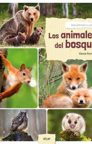 LOS ANIMALES DEL BOSQUE