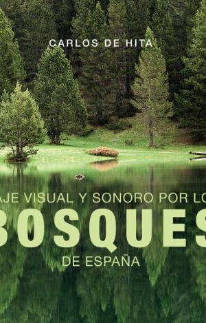 VIAJE VISUAL Y SONORO POR LOS BOSQUES DE ESPAÑA