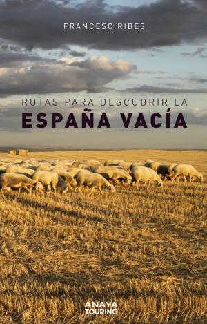 RUTAS PARA DESCUBRIR LA ESPAÑA VACÍA