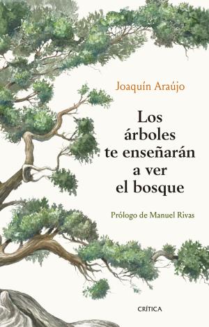 LOS ÁRBOLES TE ENSEÑARÁN A VER EL BOSQUE